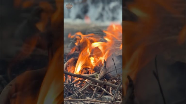 Beef 🥩 Roll Cooked in Jungle #beefrecipe #beefroll #outdoorcooking #bestasmrsounds #junglekitchen