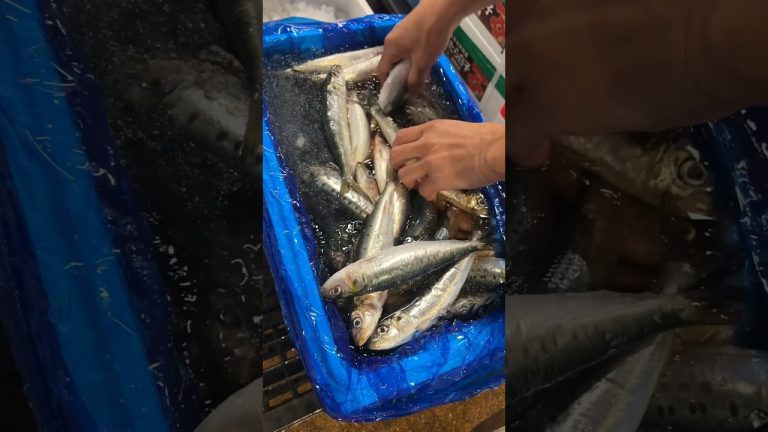 銚子 の いわし！ おろします！#せり人ムタロー #shorts