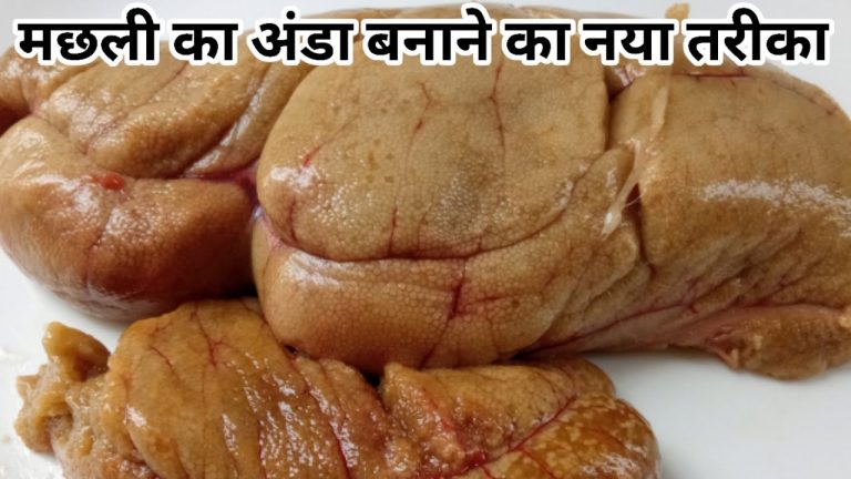 मछली का अंडा कैसे बनाते है?Fish egg recipe/Machhali ke Ande ki recipe/Machhali recipe/Fish egg curry