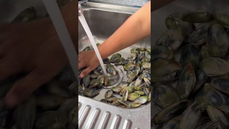 Washing Beach PIPIS Seafoods Recipe for the Day #fresh #wash #seafood #short #recipe