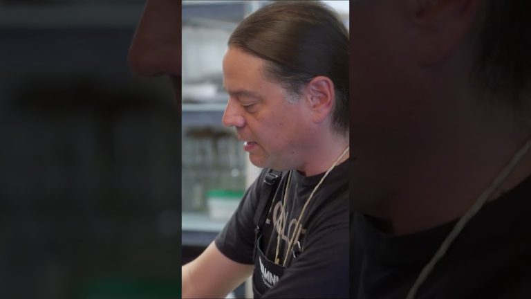 Hand-Harvested Wild Rice #Shorts