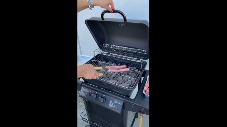 Bbq barbeque a gas con roccia lavica ZStyle