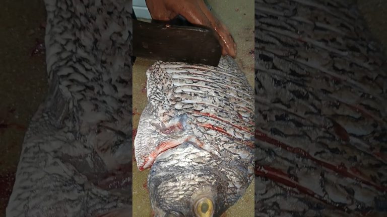 Fish Recipe Fry | Fish Cutting Skills | Fish Grilled Live Seafood #seafoodrecipes #shorts #recipes