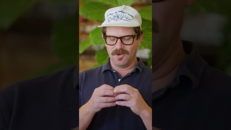 What Is A Sonoran Hot Dog? #Shorts