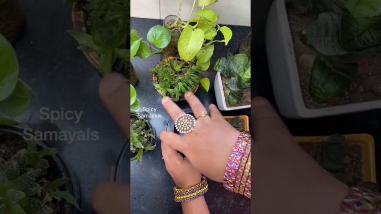 கர மொரா சிக்கன்🍗😋👌| Instant Kara mora chicken recipe #shorts