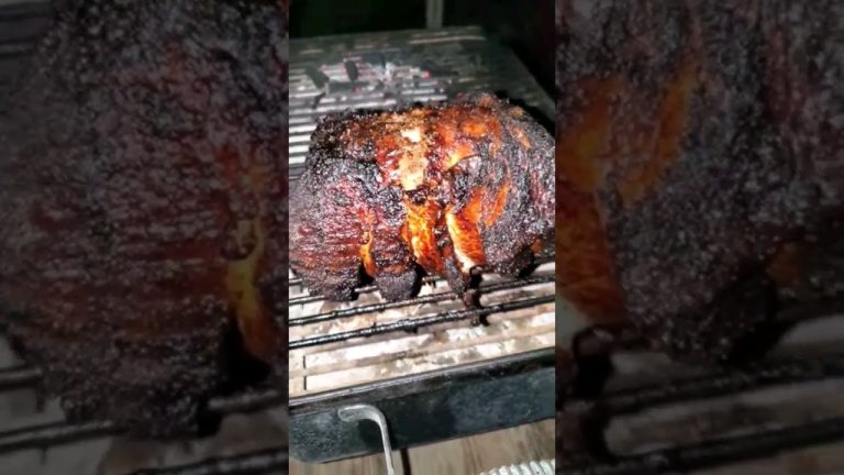 Backyard BBQ 7: Smokin a 4 Pound Pork Loin 1