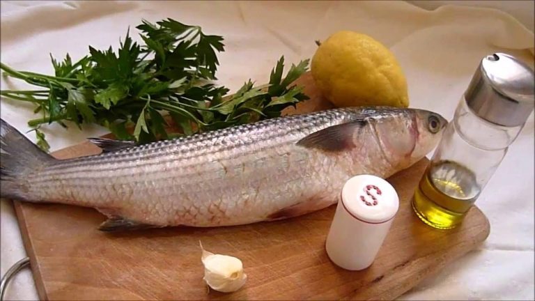 Italian Food Baked Mullet Easy Fish Recipes #italianfood #mulletfishrecipe