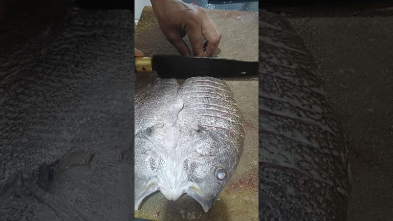 Fish Recipe Cutting Skills | Spead Cutter Amazing |Seafood Recipe Fry #seafoodrecipes #shorts