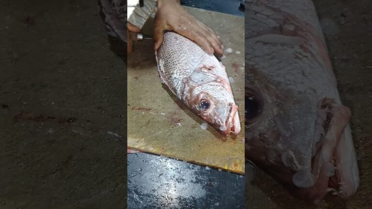 Fish Cutting Skills | Recipes Fry Fish Seafood | Recipe East #fryrecipes #seafoodrecipes #shorts