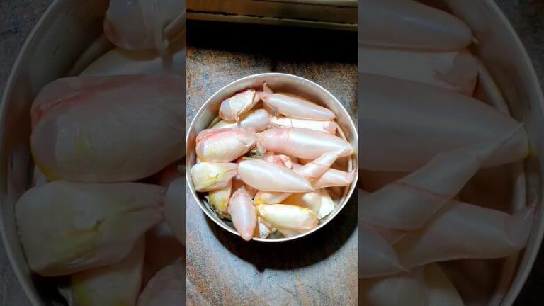 Macha Ra Balloon Chadchadi #shorts #unknown #recipe #fish #viral