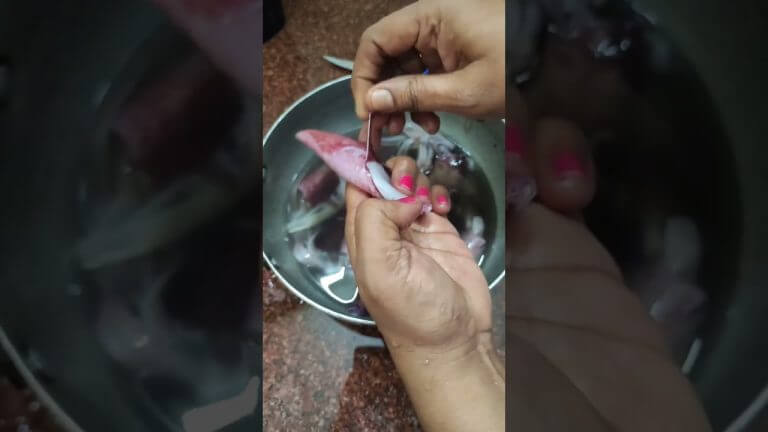 Squid Cleaning in Tamil Kanava Meen Cleaning #Shorts