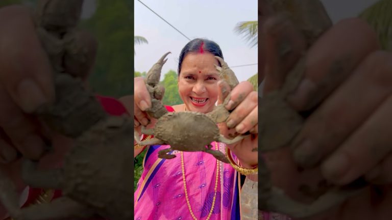 গ্রামের কাঁকড়া kadai Recipe #shorts #crab #crabs #fishcutting #chaatrecipe