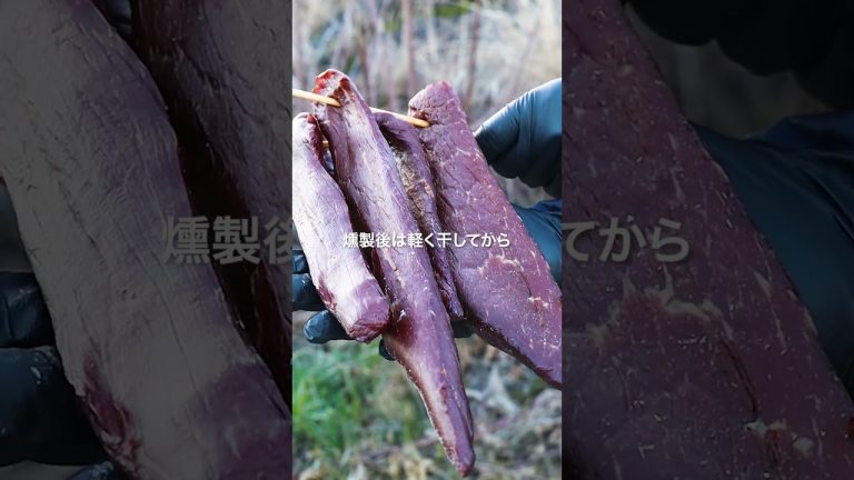 冬季限定：ソフトビーフジャーキー #shorts #牛肉