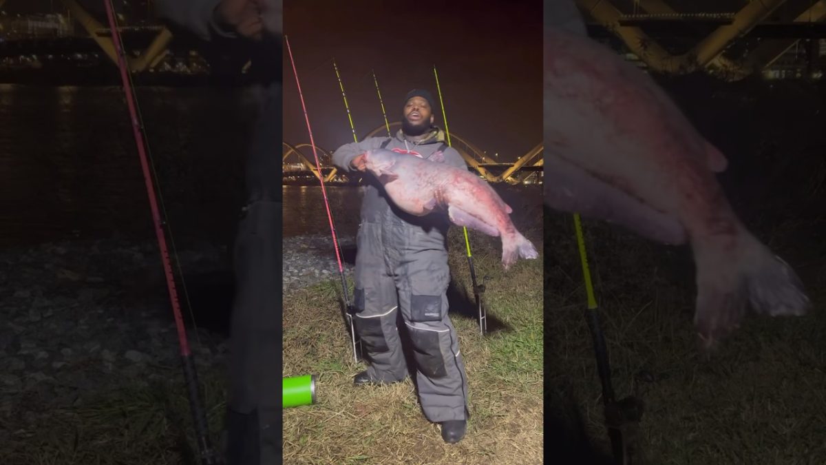 Secret Bait Recipe for Big Fish
