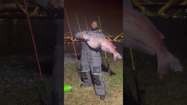 Secret Bait Recipe for Big Fish