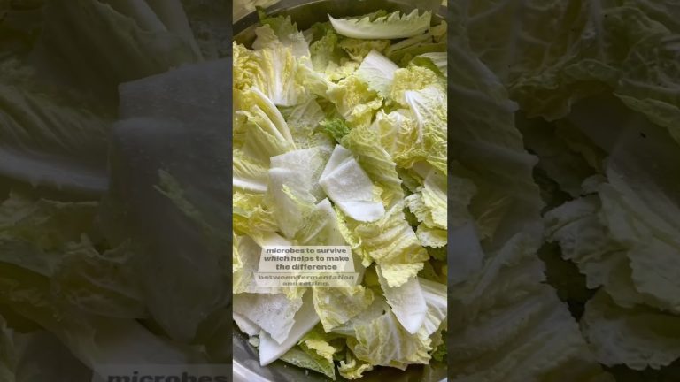 The Science of Kimchi #Shorts