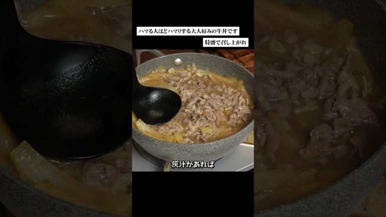 吉野家や松屋、すき家と肩を並べるくらいおいしい青屋の牛丼です #イタリア風