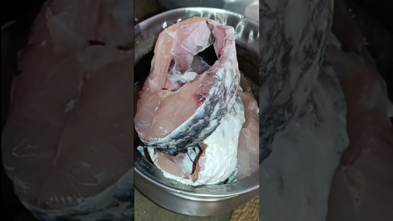 ఇంత పెద్ద చేప నేను ఎప్పుడు చూడలేదు రా అయ్యా 🙄 #telugu #food #ఫిష్ #జల్లచెప #fish curry