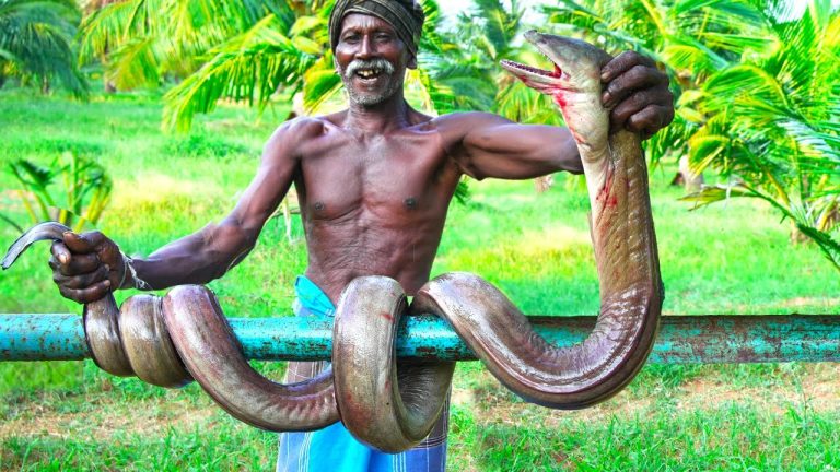 MONSTER SEA SNAKE RECIPE | BIG EEL FISH COOKING |Traditional Village Food |Grandpa Show