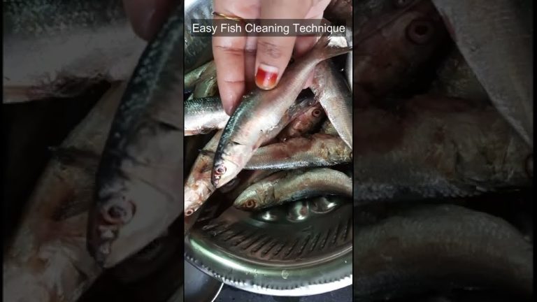 😋Chale/ Mathi Fish Fry Recipe in Tamil | How to make Fish Fry