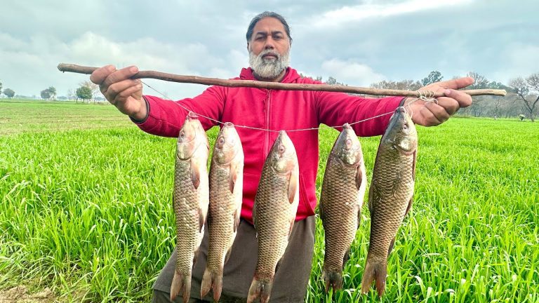 Easy Way Fish Fry Recipe | Spicy Fish Fry | Yummy Fish Fry | Mubarak Ali Tour And Taste