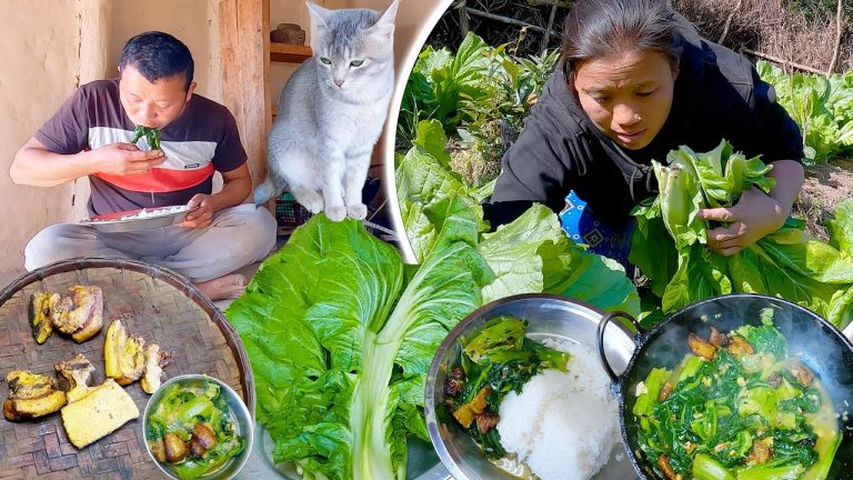 we love pork mustard mix curry and rice || Bhumi and sarmila cooking recipe @bhumivillagevlogs