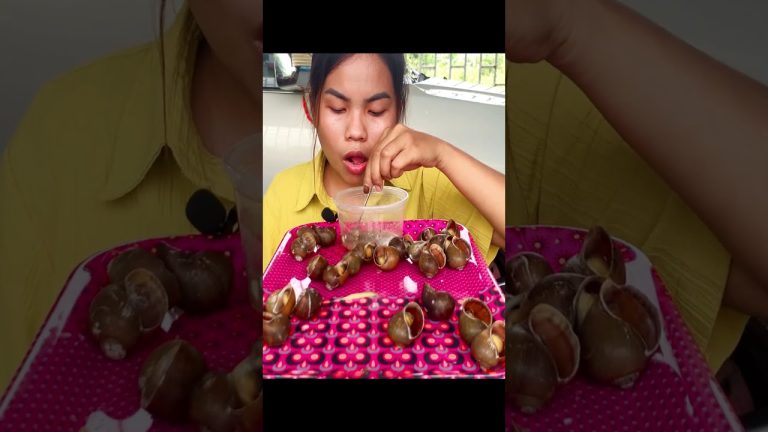 snail boil so yummy, snail recipe, seafood recipe #shorts #short #food 154