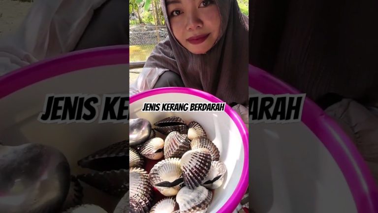 KERANG BERDARAH‼️Berburu di pasar Klandasan #mamahnada #balikpapansudah #ngeshortsbareng