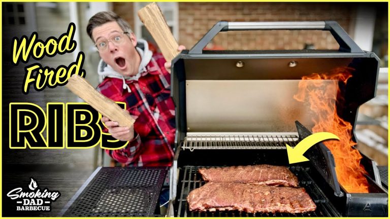 Can Masterbuilt's New Sub $500 Grill Smoke Ribs With REAL Wood Splits?