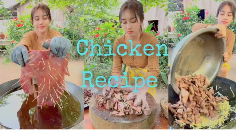 Chicken recipe | Easy Chicken recipes | Chicken recipes