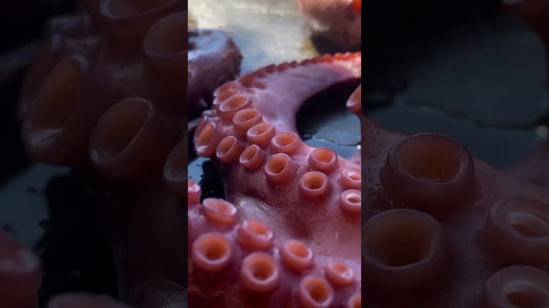 🐙How To Cook Juicy Octopus with vegetables up in mountains