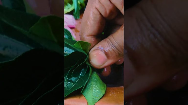 KING CRAB | SEAFOOD | SRILANKAN CRAB CURRY | EASY RECIPES | Traditional Madu