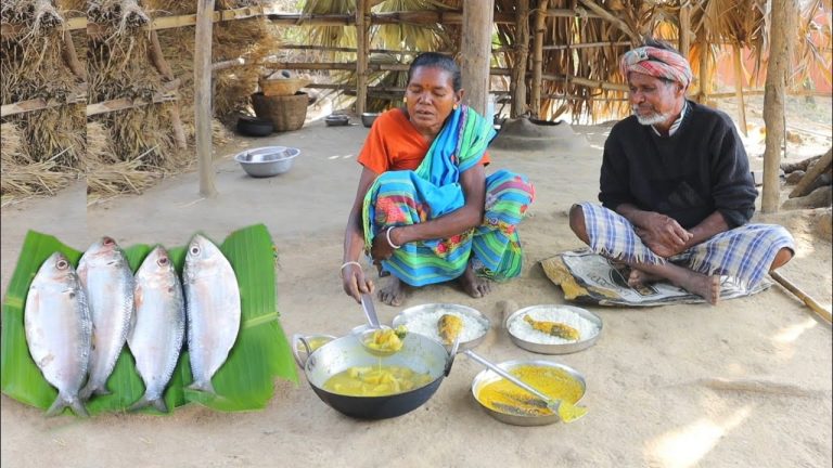 traditional HILSHA FISH CURRY recipe cooking and eating by our santali tribe grandma