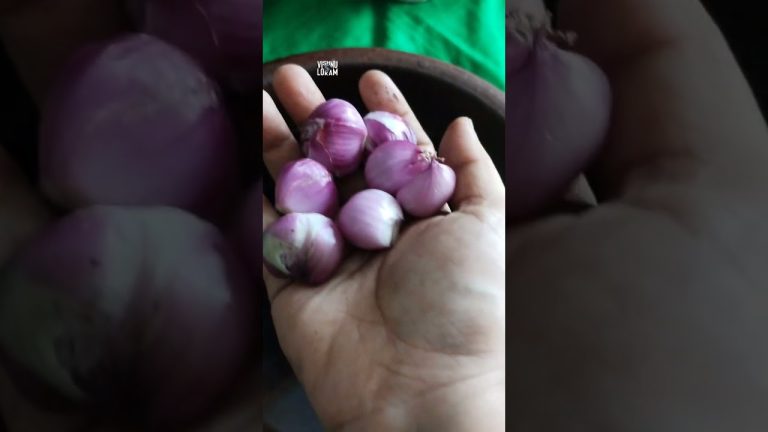 ചെമ്മീൻ ചരിതം നാലാം ദിവസം /nostalgia/ഓർമ്മകൾ /കഥകൾ/രുചികൾ/ചെമ്മീൻ ഫ്രൈ #food #നാടന്