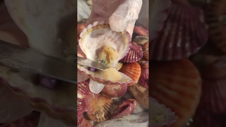 #pearl #seafood #hunting pearls #picking pearls