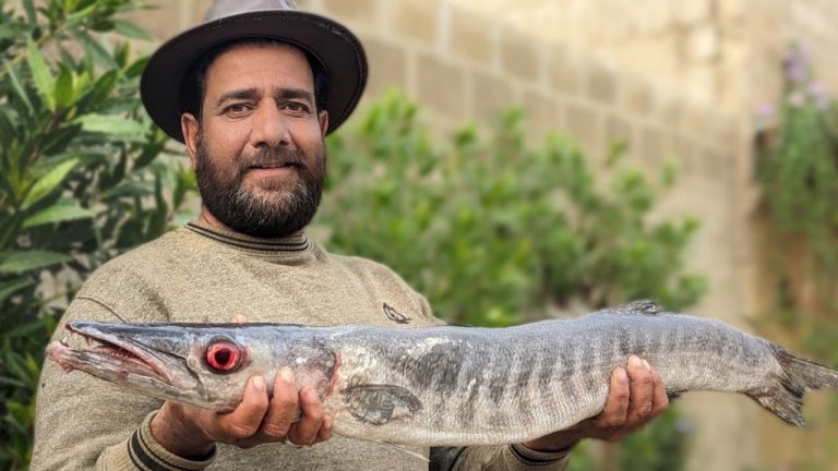 Delicious Fish Delights: Quick & Easy Recipes for Seafood Lovers!