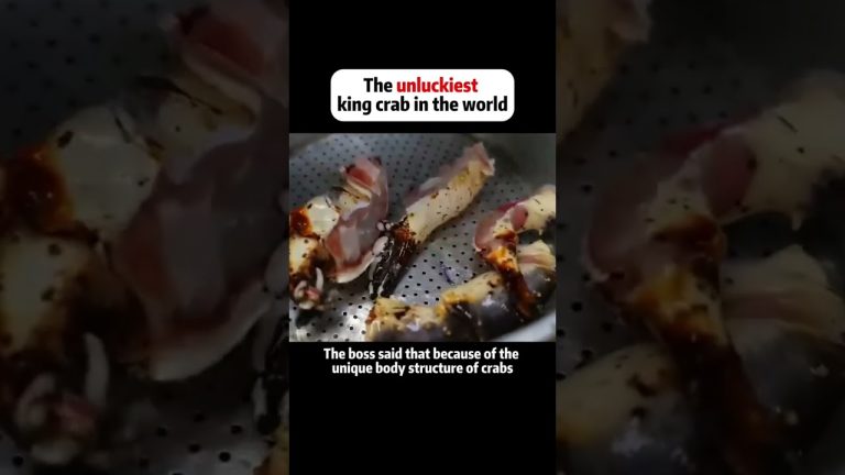 “Indulge your senses with the ultimate seafood feast! #KingCrab #SeafoodFeast #FoodieHeaven