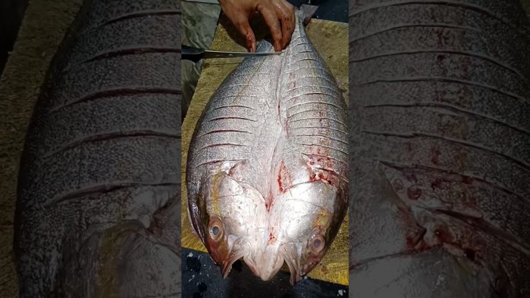 Fish Cutting 🔥 Skills | Fish Cutter, Fish Recipe,Fish grilled recipes | #cutting #fishcuttingskills