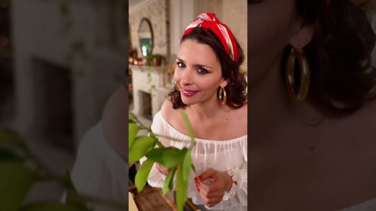 Lemon Leaves and Provolone Creamy Pasta