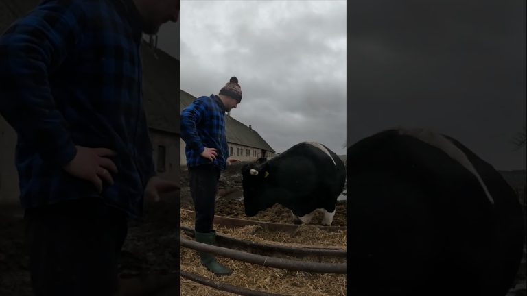 Żeberko BBQ u Władeczka 😝