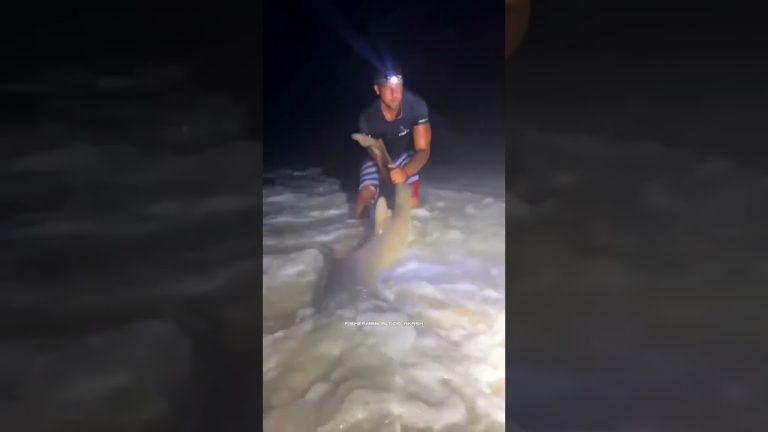 💥🤯Fisherman Life..💔🥺 #seafood #fisherman #aquarium #fish #fishermanlife  #seafoodrecipes #fishing