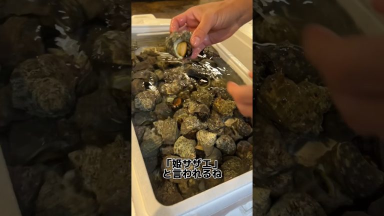 三重の 姫サザエ！ 刺身にします！ #せり人ムタロー _#shorts