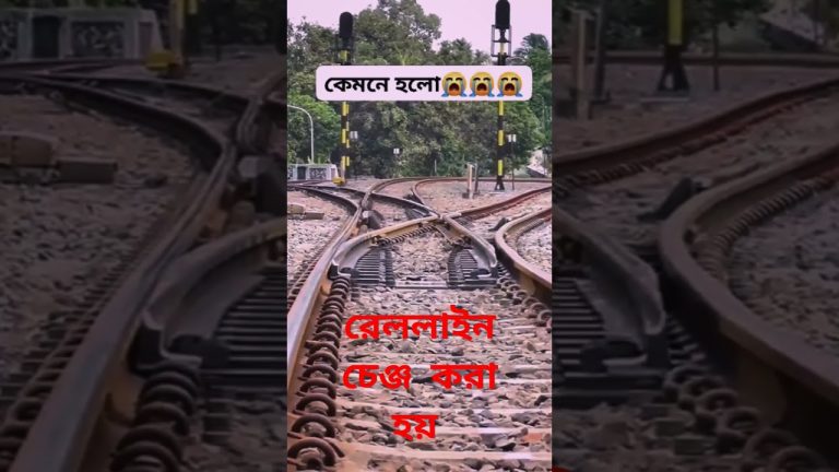 রেল লাইন চেঞ্জ করা হয় #fish #fishing #food #recipe #foodie #fisherman #fishi #fish #for you #story