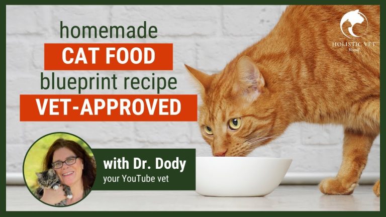 Homemade Cat Food Recipes Vet Approved | Basic Blueprint