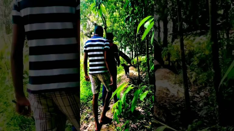 Lake fish BBQ Part 1 | වැව් මාලු BBQ | fish bbq 🐟  #shorts #cooking #bbq #food