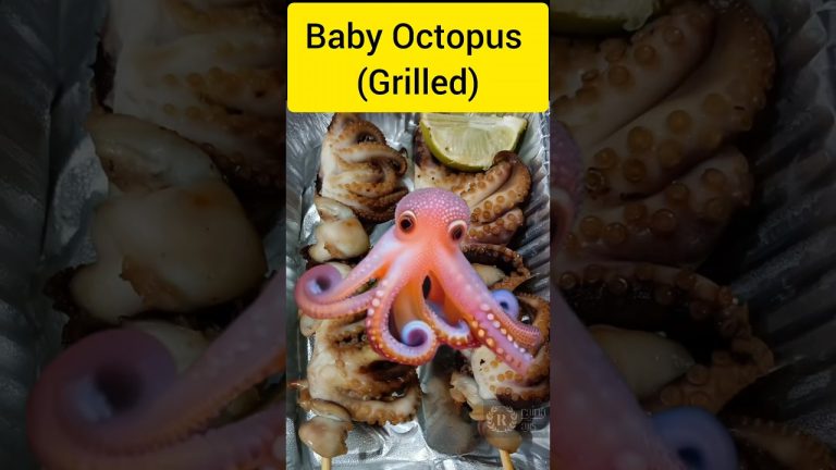 Baby octopus 🐙#globalvillage #seafood #dubai #sharjah