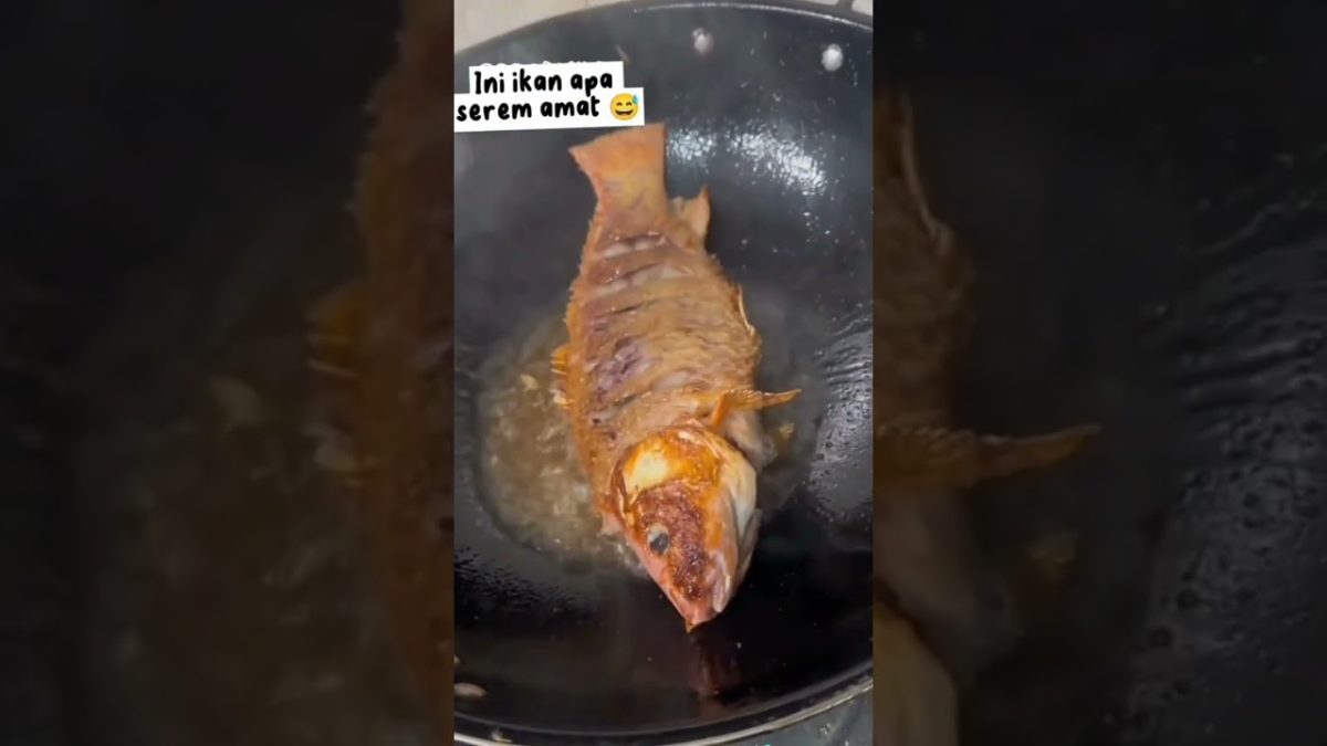 Ikan apa ini seram sekali 😱 #ikan #ikangoreng #seram