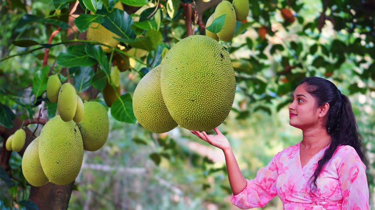 Cooking with Jackfruit Creating a Variety of Dishes from this Versatile Fruit! with Jackfruit Kottu
