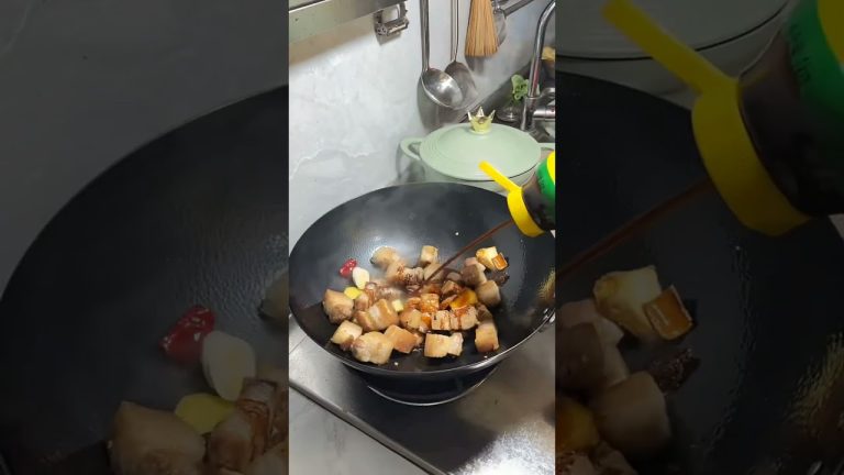 Chinese Family Cuisine 红烧肉