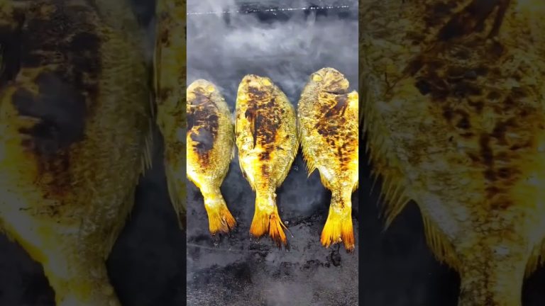 #seafood #seafoodlover #fish #fishing #seafoodrecipes #salmon